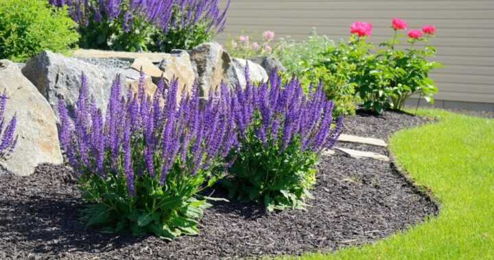 Property Manager Landscaping Tips