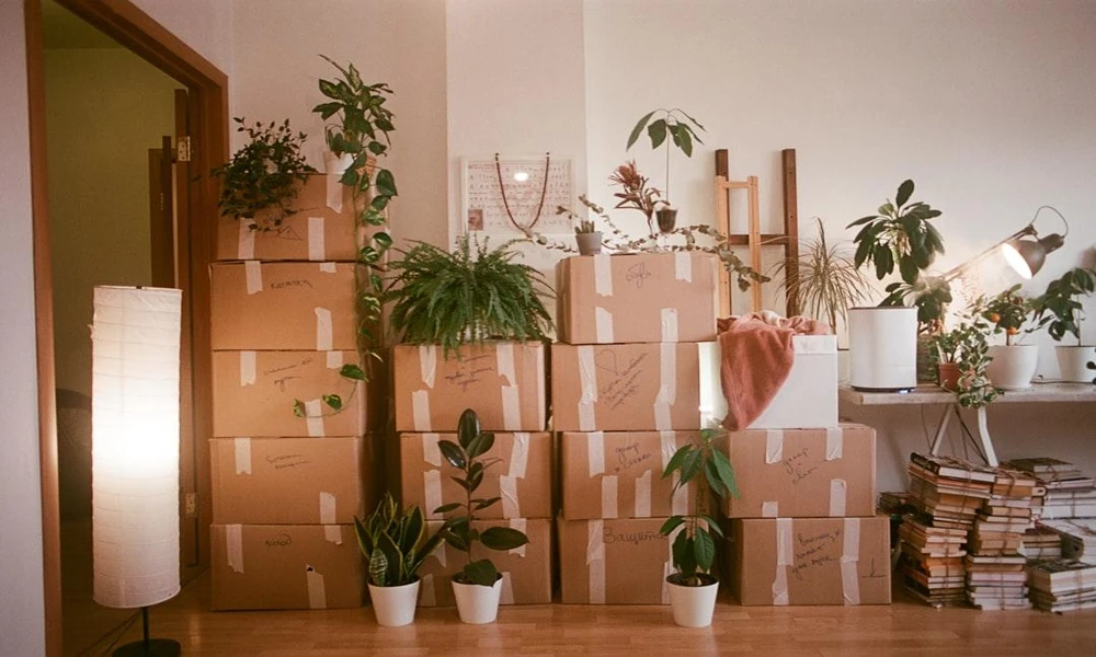 A Guide to Relocating and Setting Up Your New Home